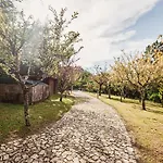Quinta Da Mimosa Prázdninový dům Vieira do Minho