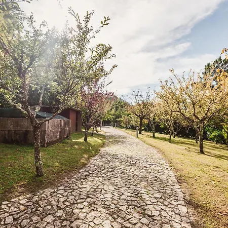 Quinta Da Mimosa Feriehus Vieira do Minho