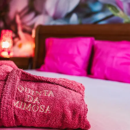 Quinta Da Mimosa Σπίτι διακοπών *