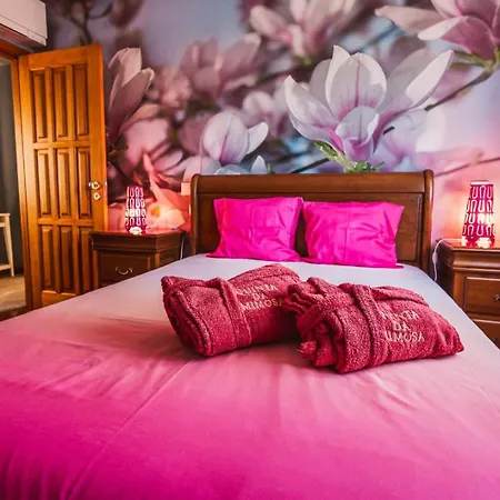 Quinta Da Mimosa * Vieira do Minho