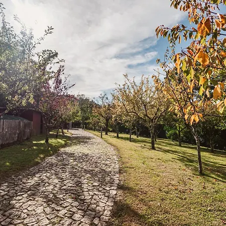 Quinta Da Mimosa * Vieira do Minho