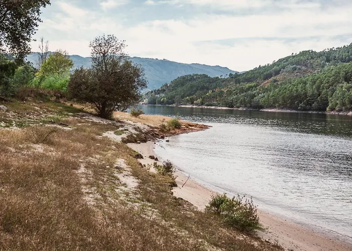 Quinta Da Mimosa 펜션 비에이라도미노
