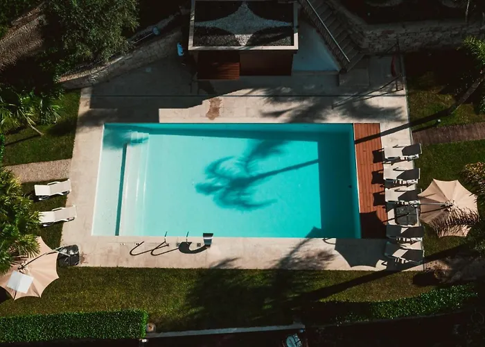 Quinta Da Mimosa * 비에이라도미노