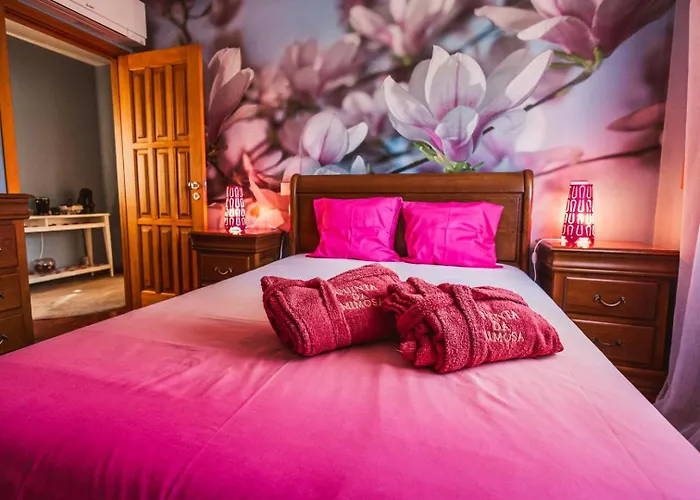 Quinta Da Mimosa * 비에이라도미노