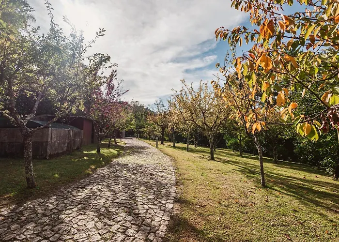 Quinta Da Mimosa * 비에이라도미노